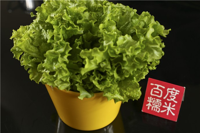德盛昌小肥牛_(8.6折)_德盛昌小肥牛6人餐_百锅尾家常菜图片