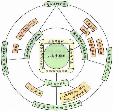 结构高中生物图解佳句摘抄好词初中500图片