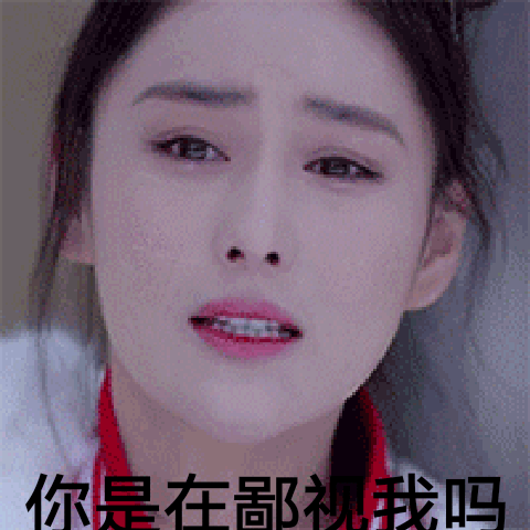 你是在鄙视我吗表情包