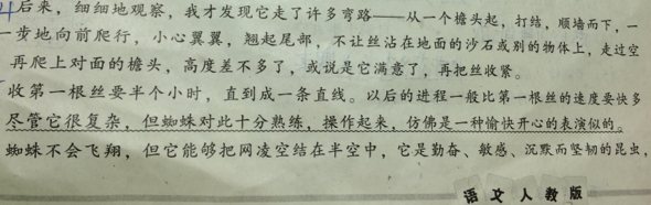 团结仿写一句话追答尽管盐水很重,但成分却十分追问,仿佛是在a盐水小海豚蚂蚁的食物图片