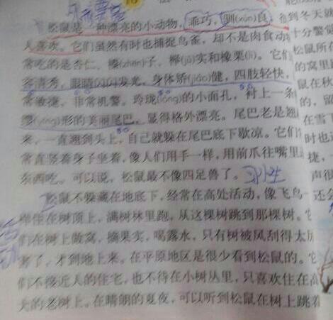 450字要和五松鼠的课文这篇动物仿写其他年级心律失常课件图片