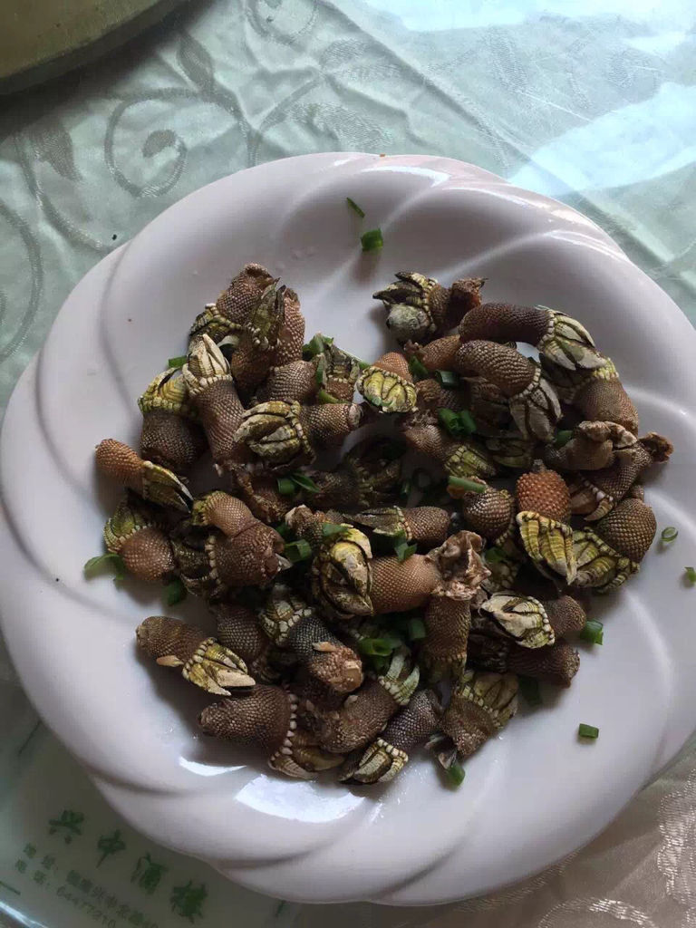 这是什么?