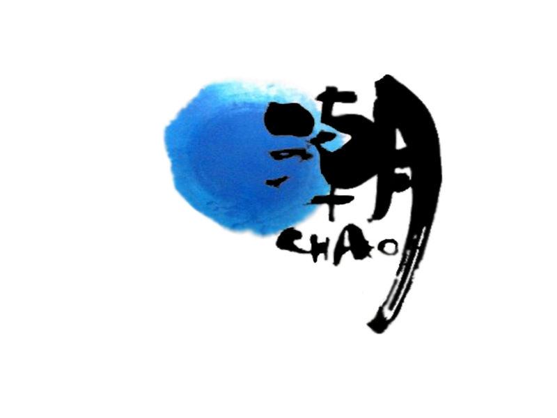 谁有毕打自己人里面  潮>>杂志的那个潮字