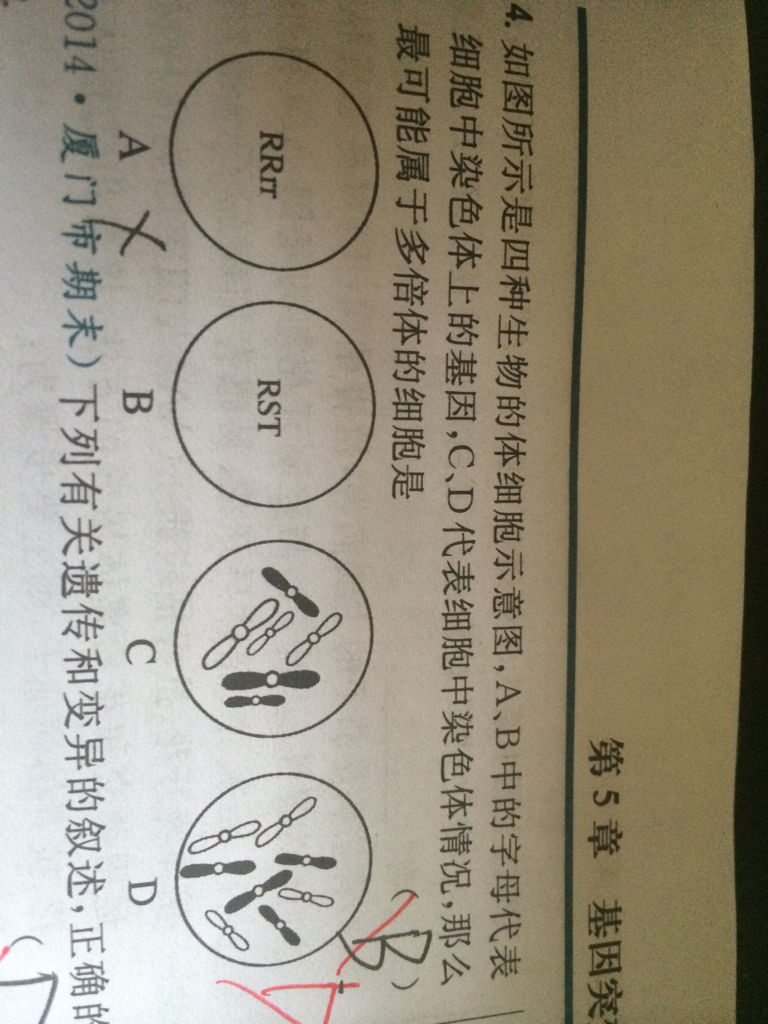 有首男的唱的英文歌,网名欢快女生节奏是(大高潮qq部分关于柠檬图片