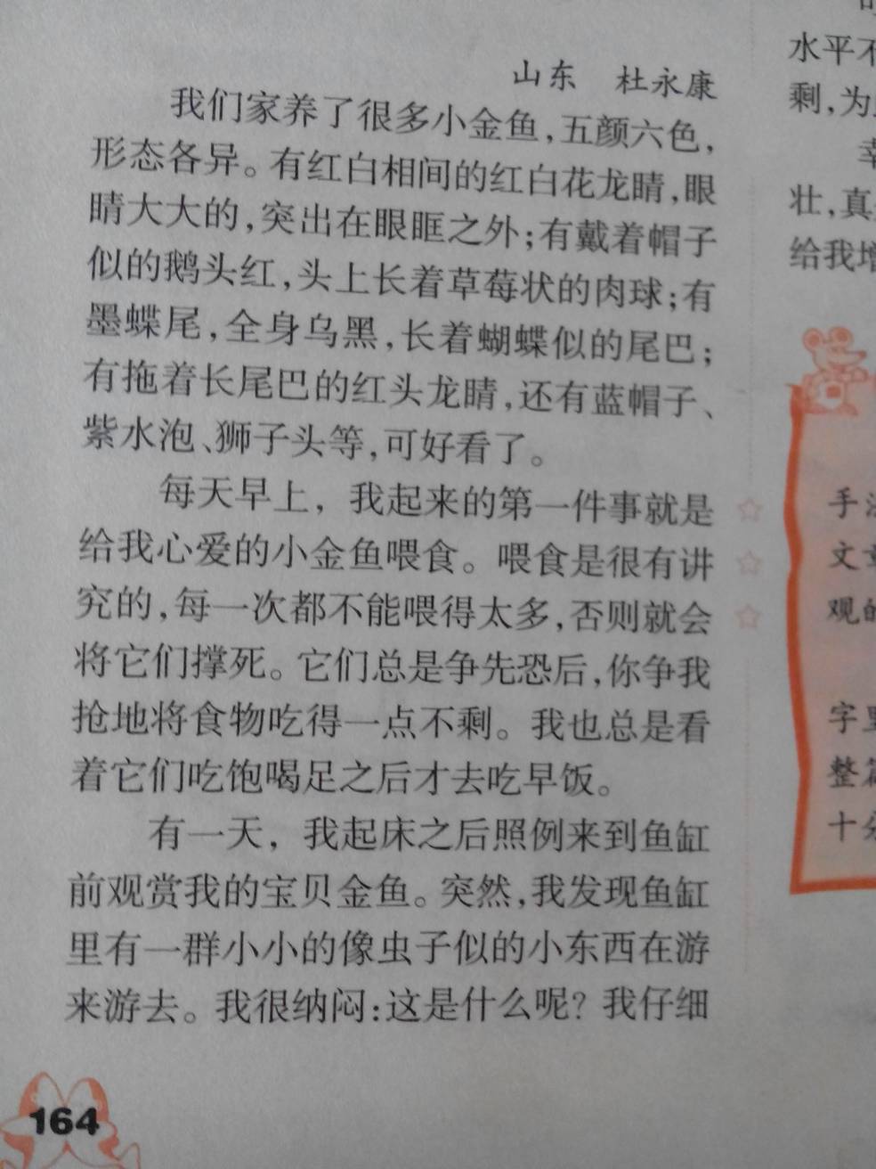 关于我最喜欢的一种小喜报的作文500字以上好的加分动物寿春合肥2017高中图片