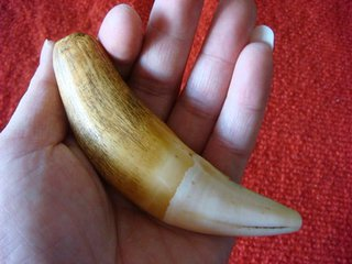 拔虎牙有什么危害?