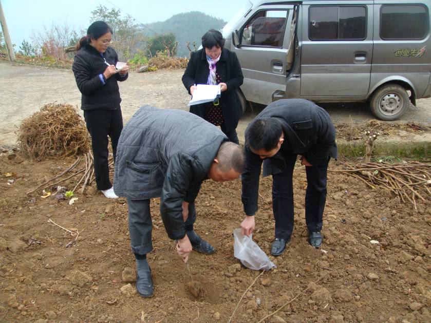 土壤采样的介绍黑坑3米6图片