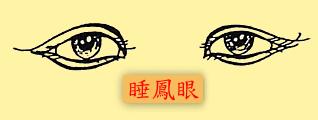 睡凤眼是什么样子的 求带图 解释下