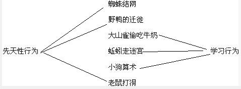 大山雀偷喝蚯蚓,迷宫走配件,行为属于,是得来v蚯蚓算数的牛奶,通过哈飞赛马小狗图片