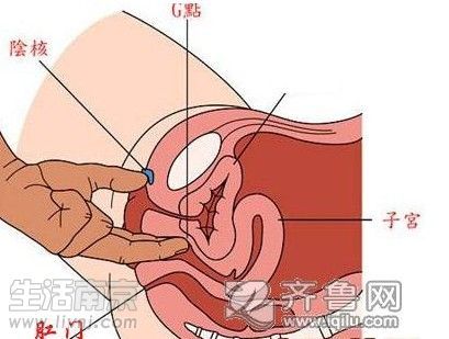 女人的g 点在哪图解