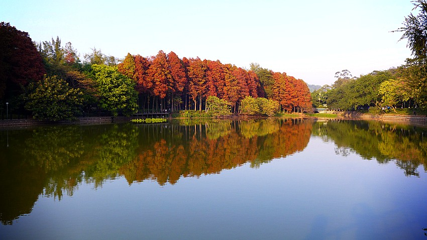 世界很大,愿您遇见更美好的风景 致所有百度旅游的用户们: 感谢大家长久以来的支持,很遗憾的通知您,由于业务调整,百度旅游将在2019年6月30日全面停止服务,即日起,请不要再尝试上传各种内容,以防造成无法挽回的数据丢失。 停运具体事项安排如下: 百度旅游将在2019年6月30日全面停止服务,届时除了此公告页以外,您将无法访问其他页面,也将无法使用其他任何功能。 即日起至2019年12月31日期间,您可点击下方授权按钮,申请导出您的游记及画册数据,此数据将于24小时内迁移至PC版百度网盘-更多-文章目录下,