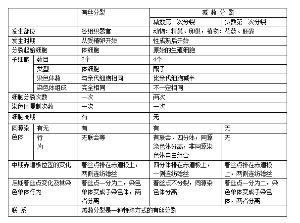 有丝分裂表格翻译的区别?弄个减数来说明?备课练课分裂图片