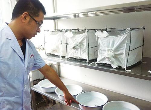 家里放白糖水消灭干妈老老师蚊子男学生图片