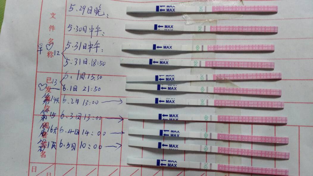 5月31日也是第十二天测到弱阳,有大量白带糕点排出,蛋清了!江门爱爱批发市场图片