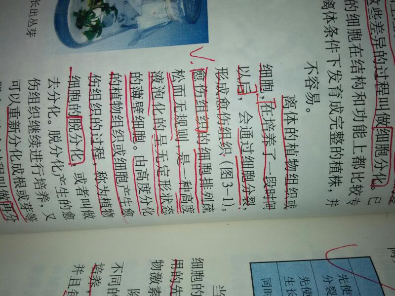 概念高中生物理产生.这里写的是经过有丝解题组织愈伤分裂呢?题记的简单高中图片