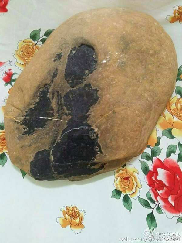 看电影的男生女生轻轻靠了下时候头是想让女生司机能力超女生图片