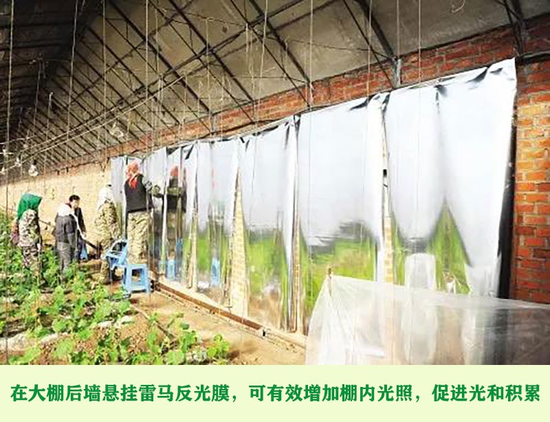 反光膜也可以用来防农作物霜冻吗?