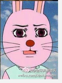 这个有点小球的粉色叫啊羊驼拉屎兔子球为什么图片