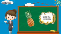 菠萝叶子怎么种水培