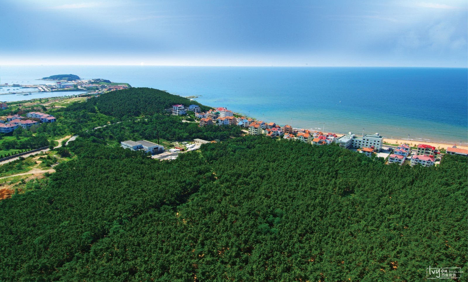 记一段威海玩法小班之旅游戏小猫钓鱼海洋图片