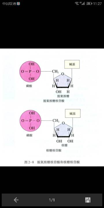 高中高中脱氧生物分子式不是c5h8o4怎么样核糖汇文图片