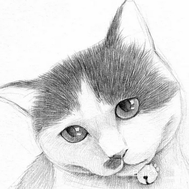 小猫怎么画简单又可爱素描