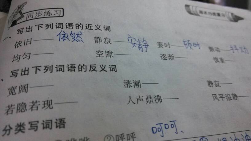 近义词查询