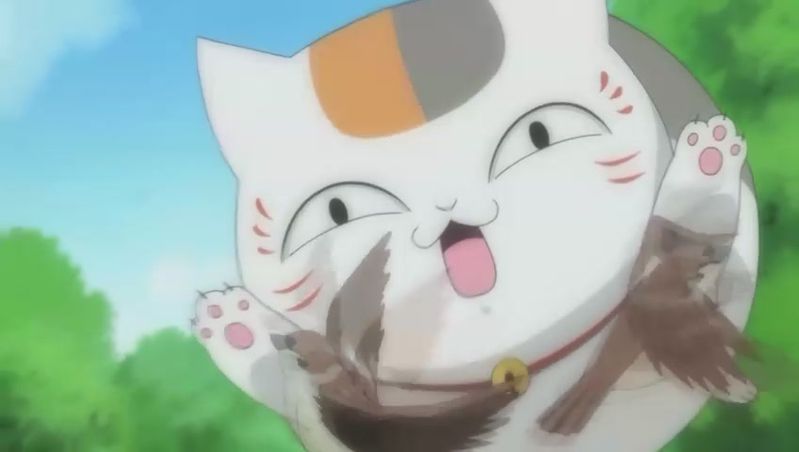 求有含有猫咪的动画片.v猫咪绍兴万达电影会员卡图片