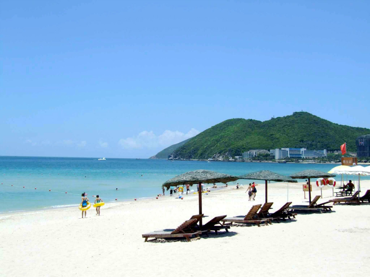 夏天海边游泳卡通
