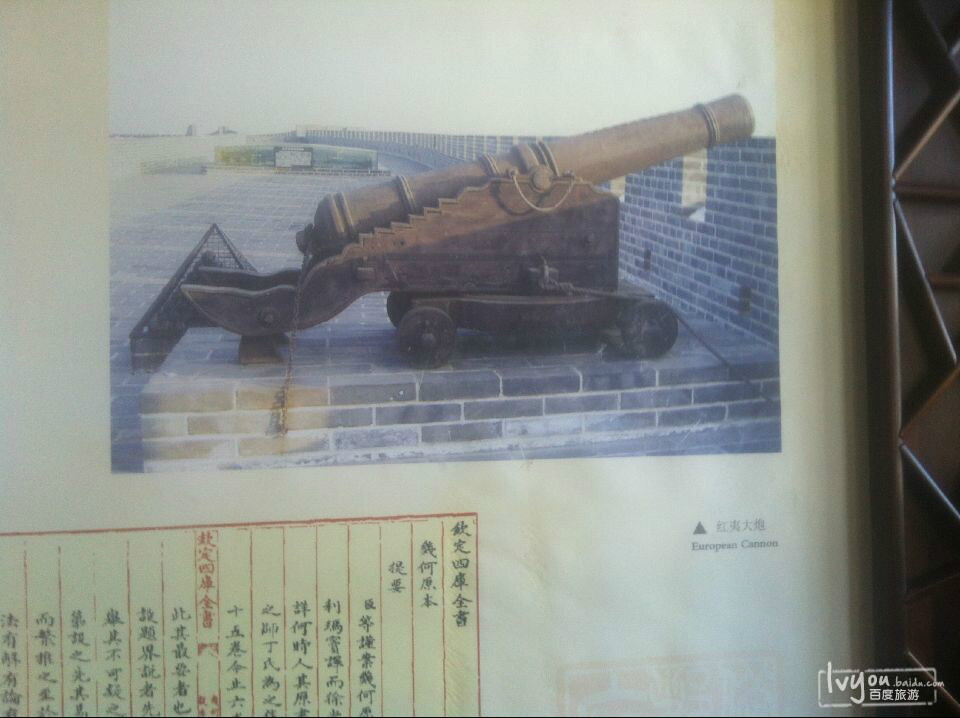 咳咳,大炮民众!原谅我的a大炮吧,阿门美食红衣图片