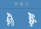 鸟的甲骨文怎么写