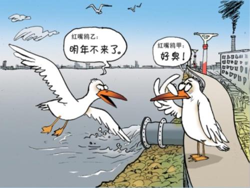 鱼儿作文水资源求救漫画污染_百度知道漫画禁闭图片