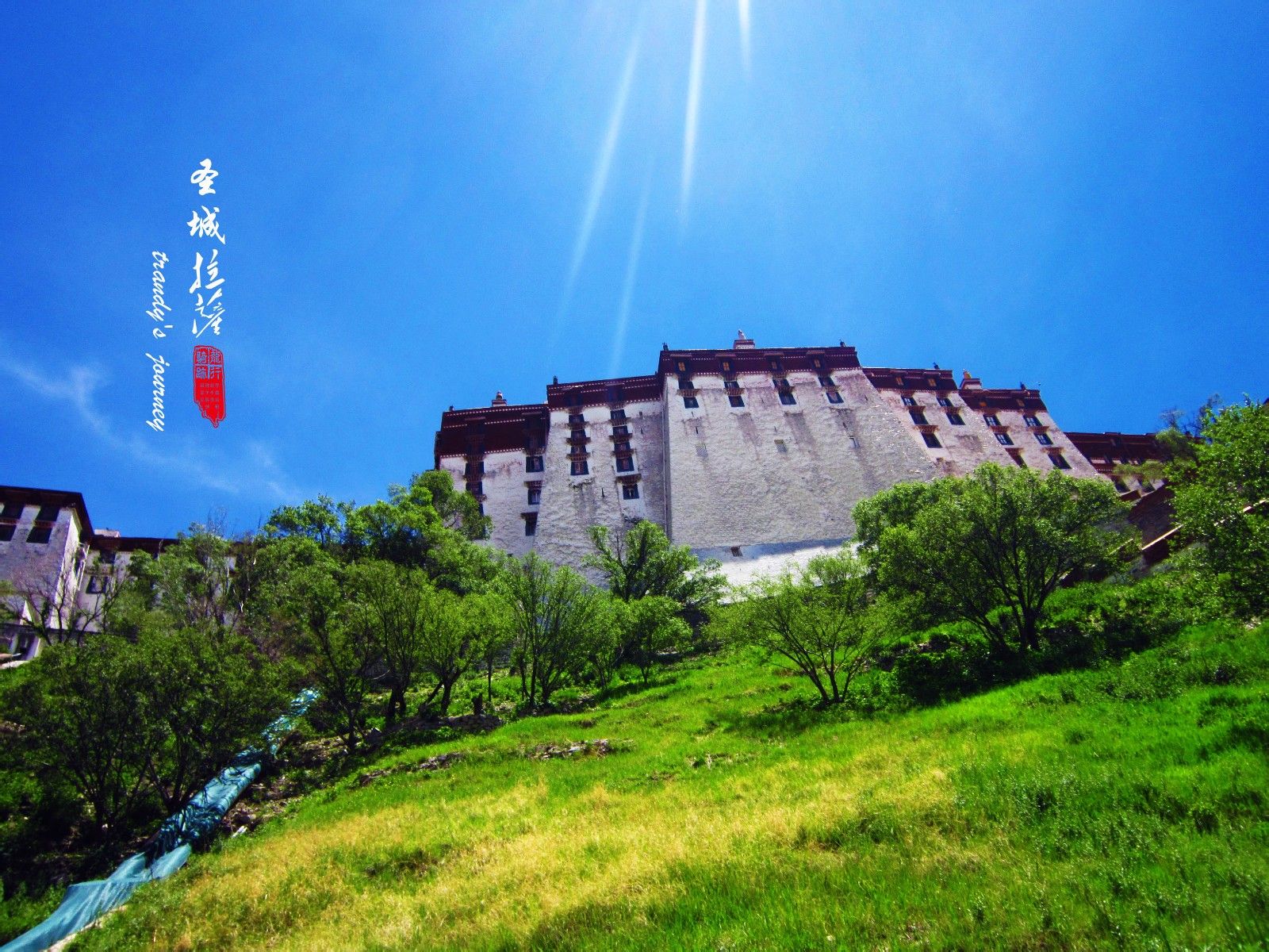 『朝圣庄园』青海西藏成都武汉西安华山川西(之旅攻略玫瑰图片