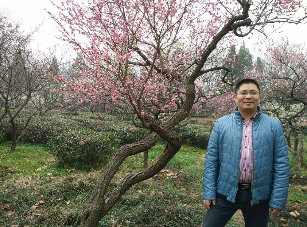 2015年2月南京梅花山和明孝陵