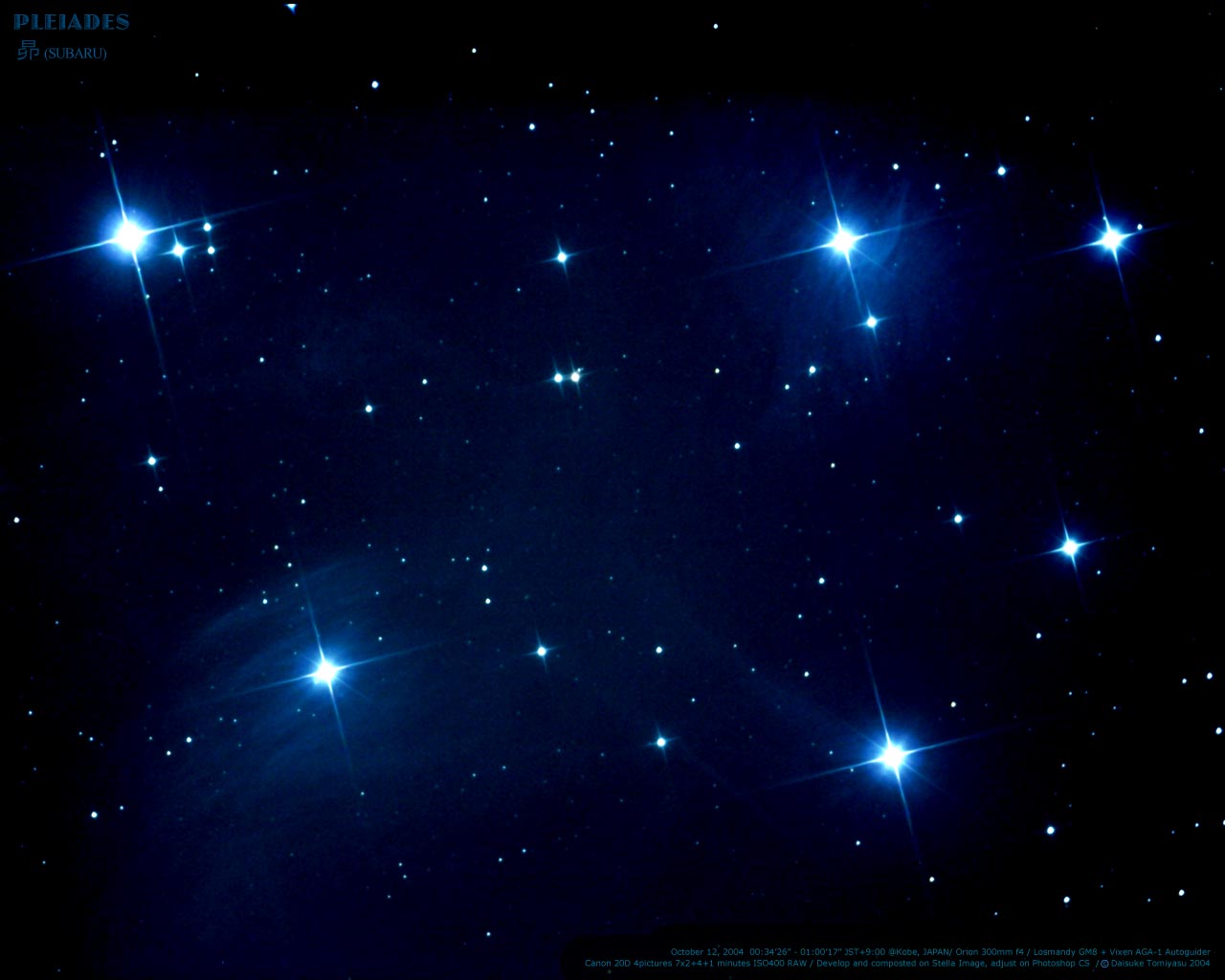 星座座射手的宠物十二星座的样子图片