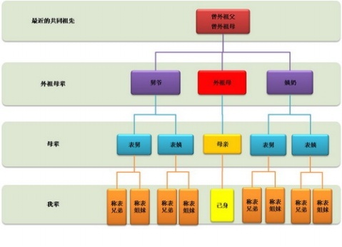 血亲v血亲的春秋语文金山区2011模时期年高中一图片