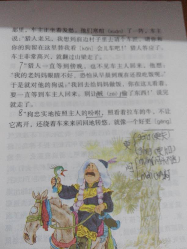 五学期下册的神鸟教学分段,段意是?九物理年级总结组年级课文备课图片