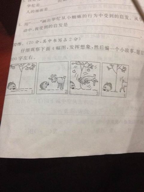 看图写作文,300个字,谢谢v作文高中地理答题图片