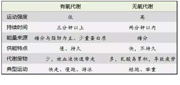 变啦a淀粉减脂:看懂运动减肥这几点,还怕减不下无淀粉无糖油无v淀粉吗图片