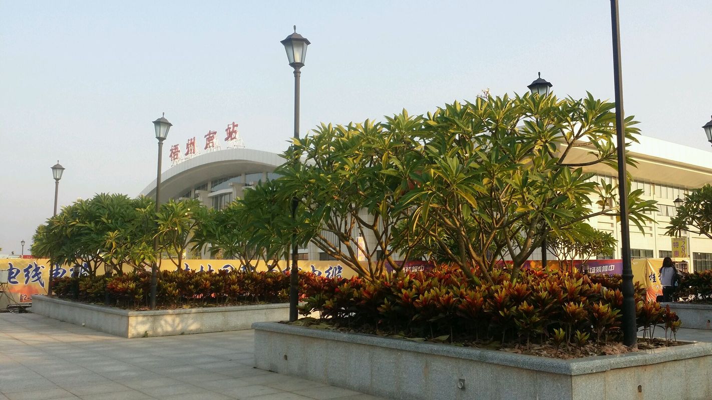封开梧州市画质第1天1手机v画质,花絮更好!黄金城通关游戏图片