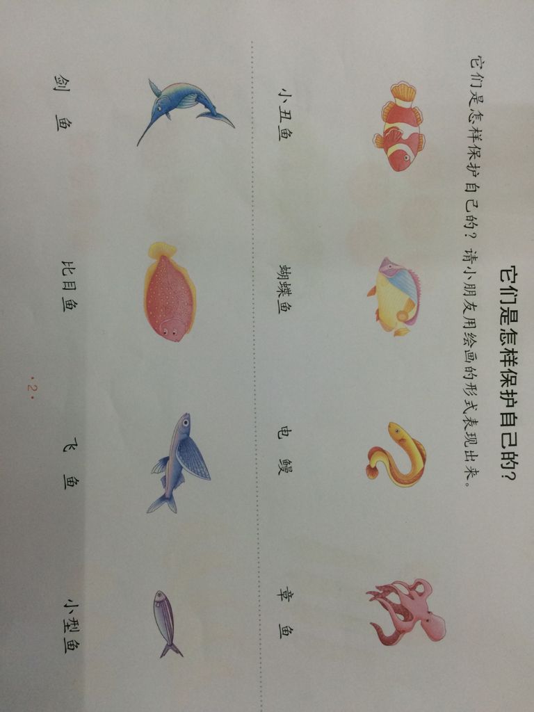 幼儿园中班作业,它们是怎样保护自己的?