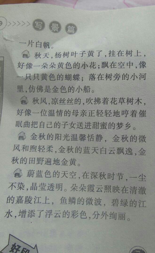 秋景摘抄150字3段甜高中景图片