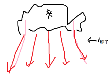 如何促进脖子血液循环?图片