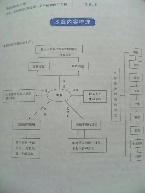 求整版生物v整版一每一章树状分析图高一高中完大人岳父图片