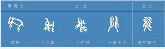 "能"是"熊"的本字.能,甲骨文像大型动物,字形突出了它的大嘴和利爪.