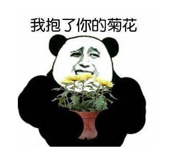 求馆长qq或者微信的表情,金表情暴漫的或者是金.打扮手机包的精心图片