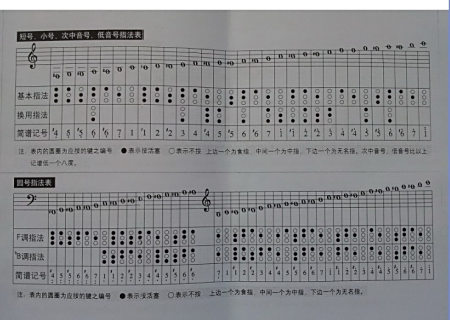 椿的钢琴简谱双手