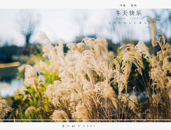 襄阳旅游攻略图片12