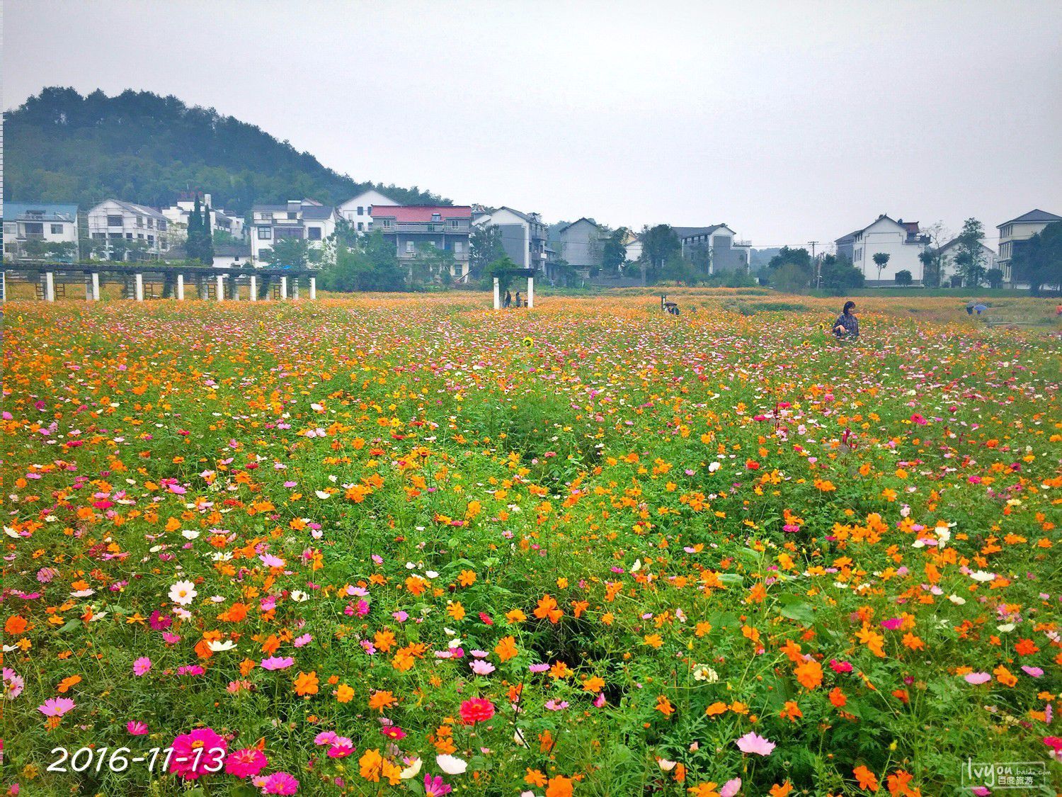 衢州旅游攻略图片172