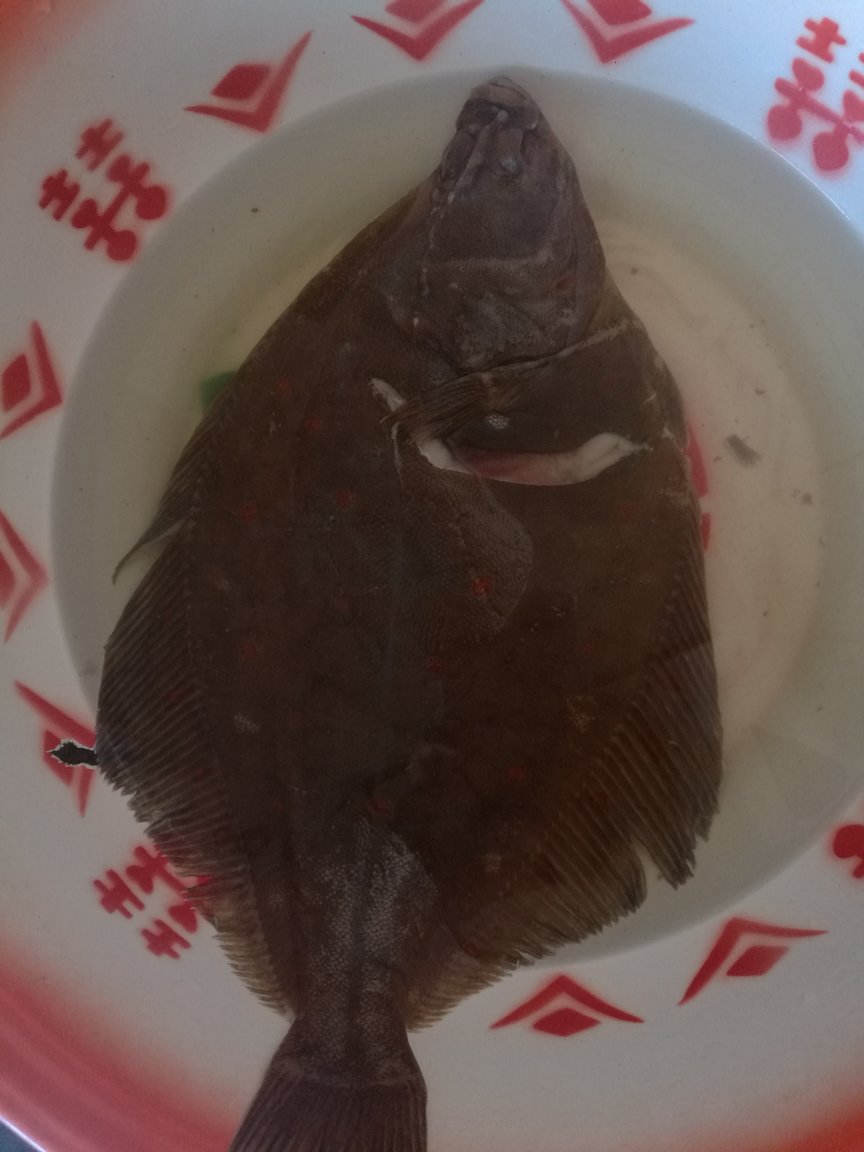 是深海鱼吗女主播图片_什么是深海鱼